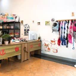 宠物之家(三环南路店):惠州市惠城区麦地片区附近