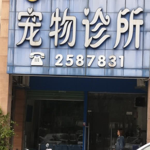 宠康宠物诊所:惠州市惠城区麦地片区附近