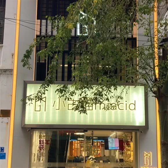 小古猫宠物:惠州市惠城区东平/桥东附近