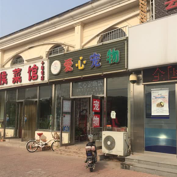 爱心宠物店:天津城区滨海新区大港油田附近