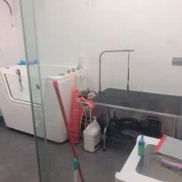 卡西宠物:惠州市惠城区河南岸片区附近