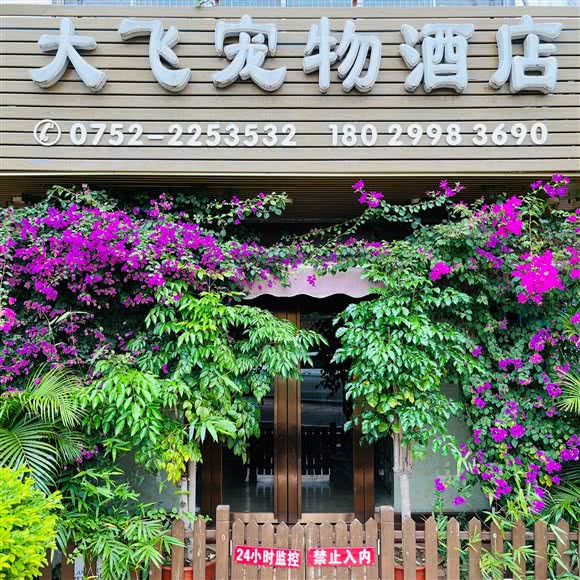 大飞宠物酒店:惠州市惠城区河南岸片区附近