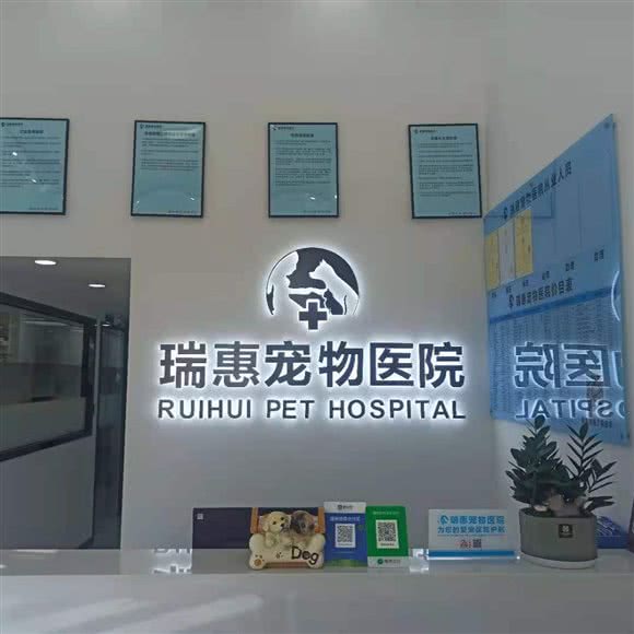 瑞惠宠物医院:惠州市惠城区河南岸片区附近