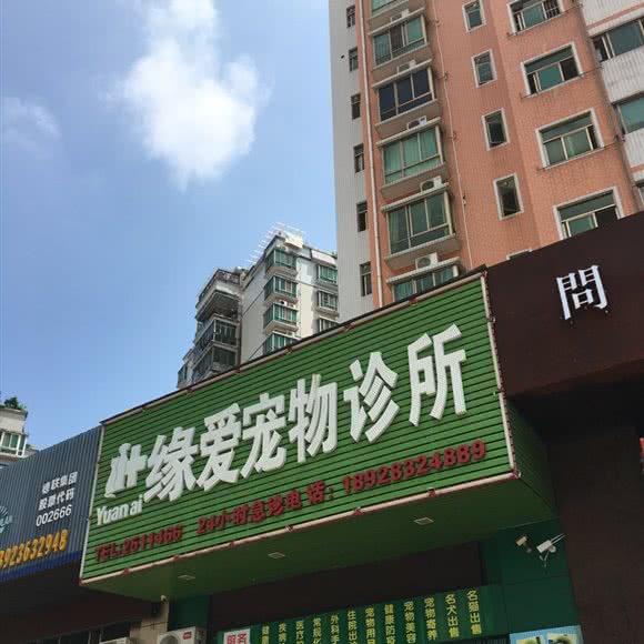 缘爱宠物诊所:惠州市惠城区河南岸片区附近