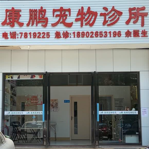 康鹏宠物诊所:惠州市惠城区河南岸片区附近