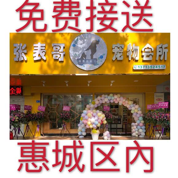 张表哥宠物会所:惠州市惠城区南坛下埔附近