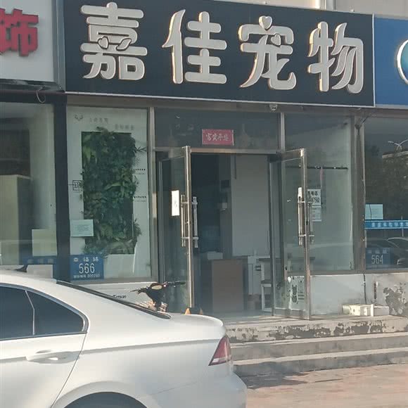 嘉佳宠物:天津城区滨海新区大港油田附近