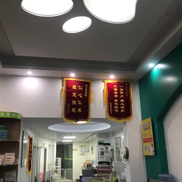 艾菲宠物医院:惠州市惠城区鹅岭附近