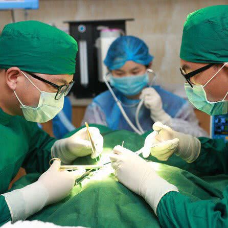 纬济宠物医院(康顺分院):惠州市惠城区仲恺陈江附近