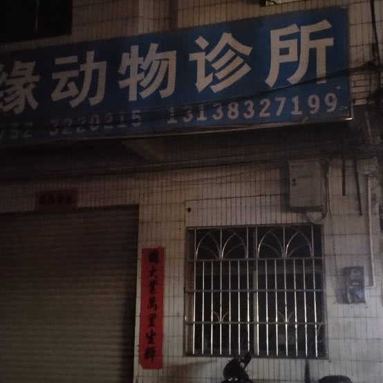 惠缘动物诊所:惠州市惠城区仲恺陈江附近