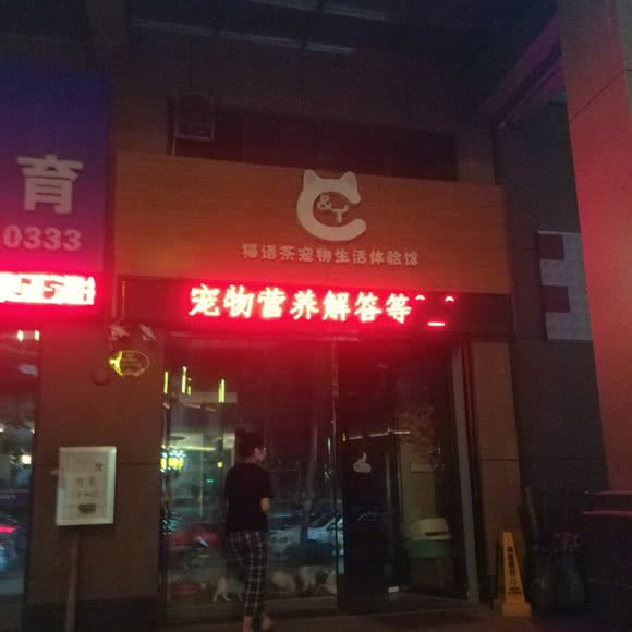 猫语茶宠物生活体验馆:惠州市惠城区大湖溪附近