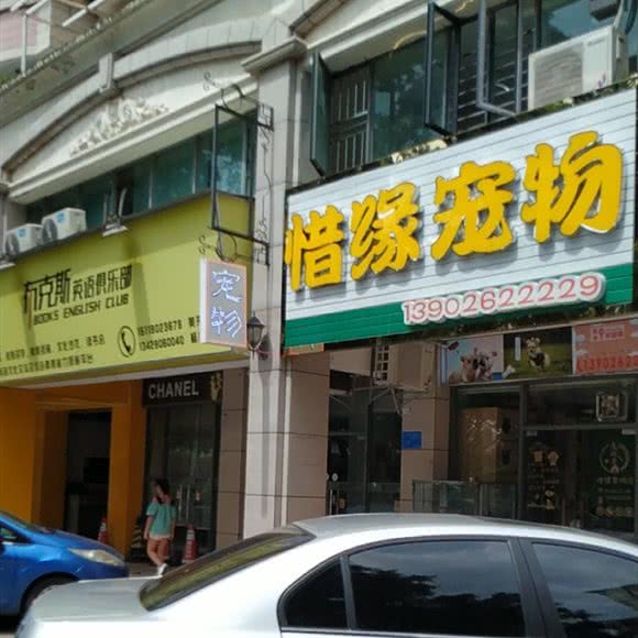 惜缘宠物:惠州市惠城区大湖溪附近