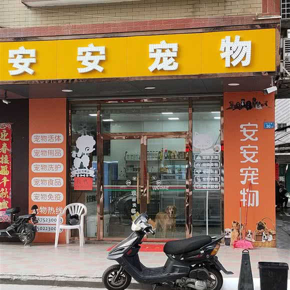 安安宠物店(安安宠物沥林店):惠州市惠城区沥林镇附近