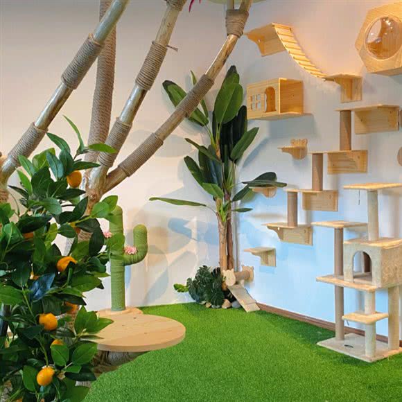 宠壹生宠物服务中心:梅州市梅江区江北附近