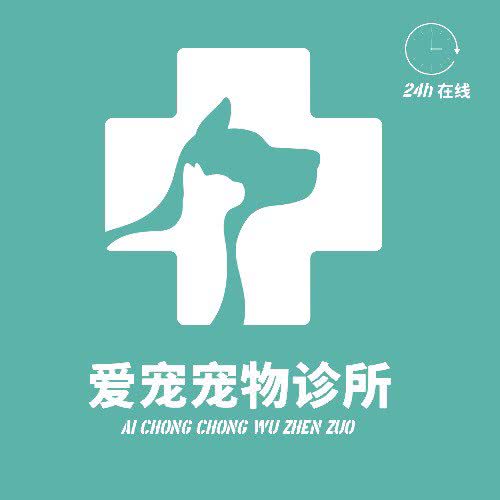 爱宠宠物诊所:梅州市梅江区江北附近