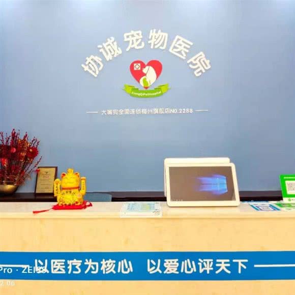 协诚宠物医院(江南店):梅州市梅江区彬芳大道南附近