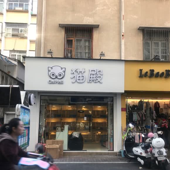 猫殿:汕尾市城区信利广场附近