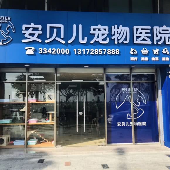 安贝儿宠物医院:汕尾市城区信利广场附近
