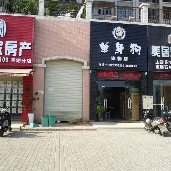 单身狗宠物店(香湖店):汕尾市城区信利厂区附近