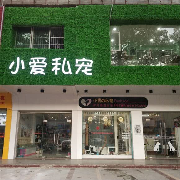 小爱の私宠:河源市源城区新城区附近