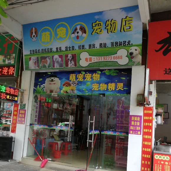 萌宠宠物店:河源市源城区老城区附近