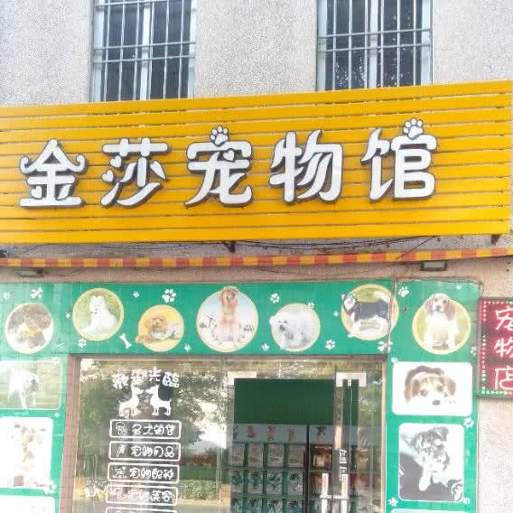 金莎宠物馆:阳江市江城区三环路附近