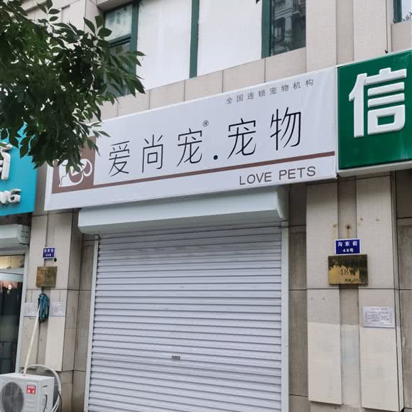 爱尚宠.宠物:天津城区滨海新区汉沽城区附近