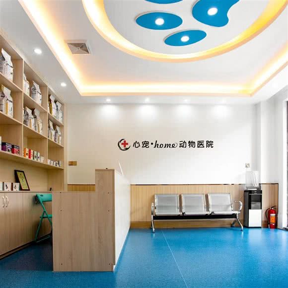 心宠.home动物医院:阳江市江城区三环路附近