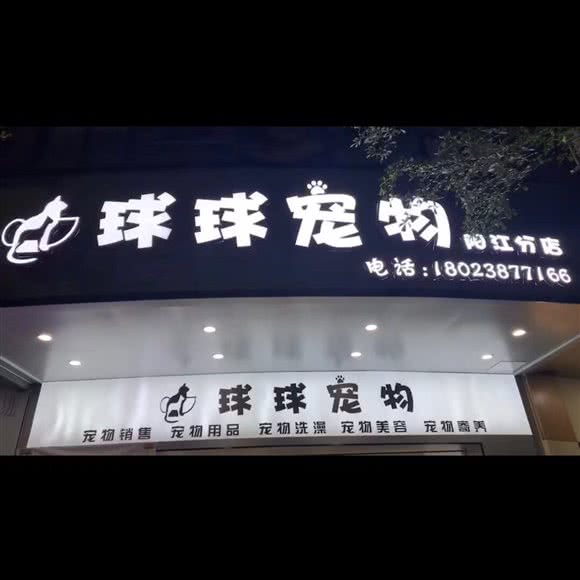 球球宠物(时代广场店):阳江市江城区人民广场附近