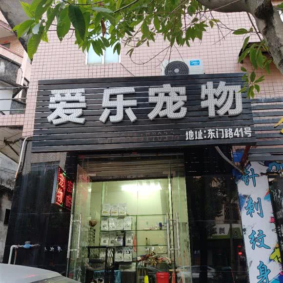 爱乐宠物:阳江市江城区人民广场附近