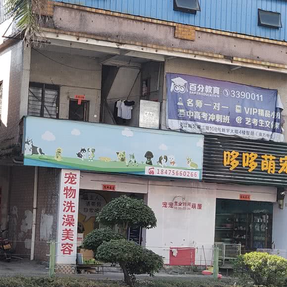 哆哆萌宠(宠物店):阳江市江城区人民广场附近