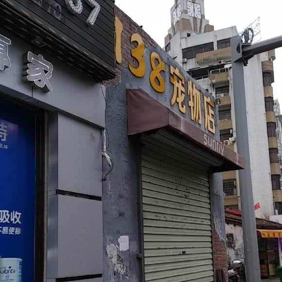 138宠物店:阳江市江城区人民广场附近