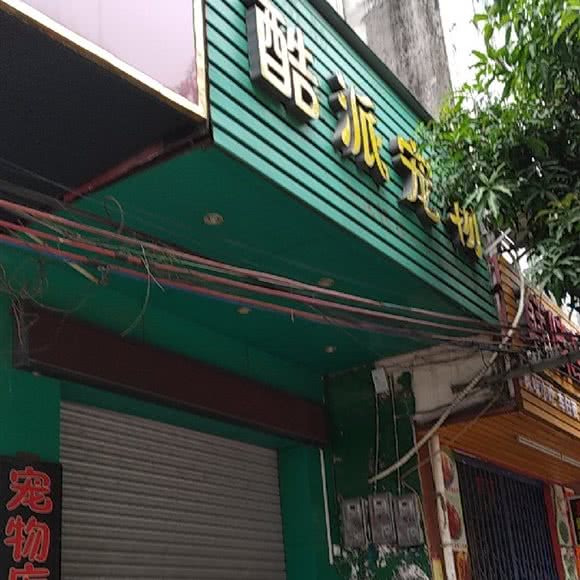 酷派宠物:阳江市江城区人民广场附近