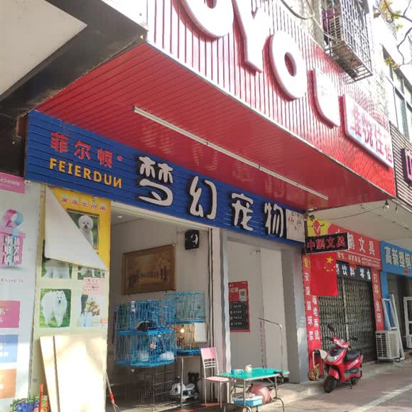 菲尔顿梦幻宠物生活馆:阳江市江城区愉景花园附近