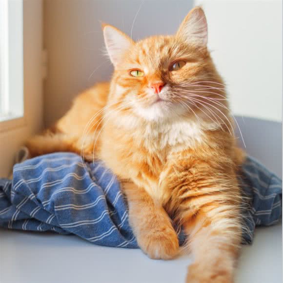 Lucky乐其宠物馆:阳江市江城区二运站附近