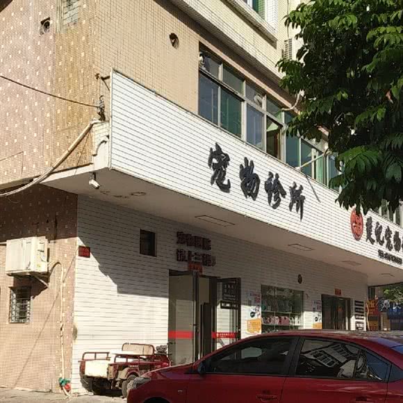 宠物诊所:阳江市江城区二运站附近