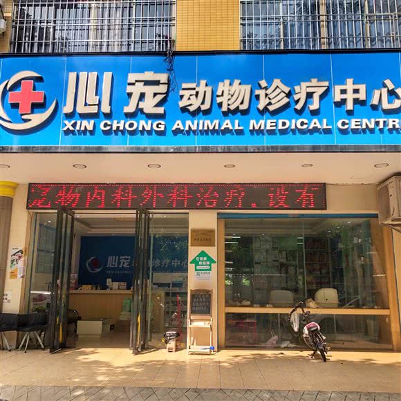 心宠动物诊疗中心:阳江市江城区新达城附近