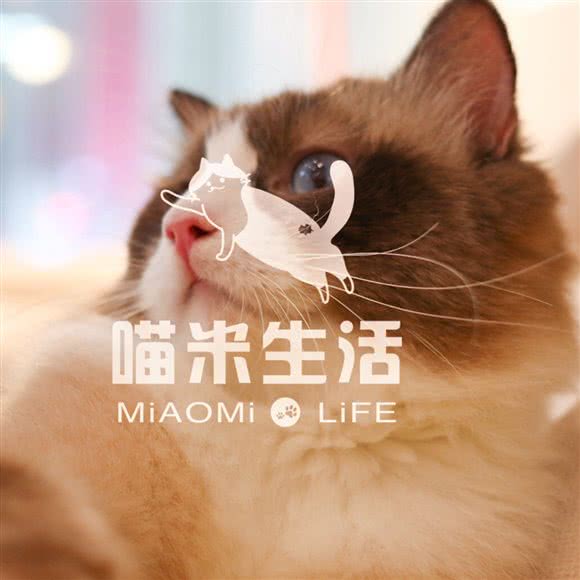 喵米生活馆:清远市清城区城市广场附近