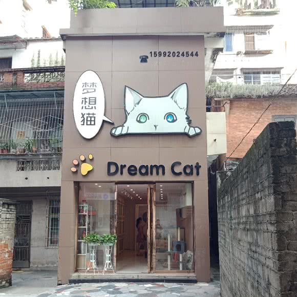 dream cat猫舍:清远市清城区北门街附近