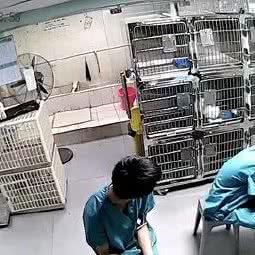 曙光宠物服务部:清远市清城区锦绣清城/大润发附近