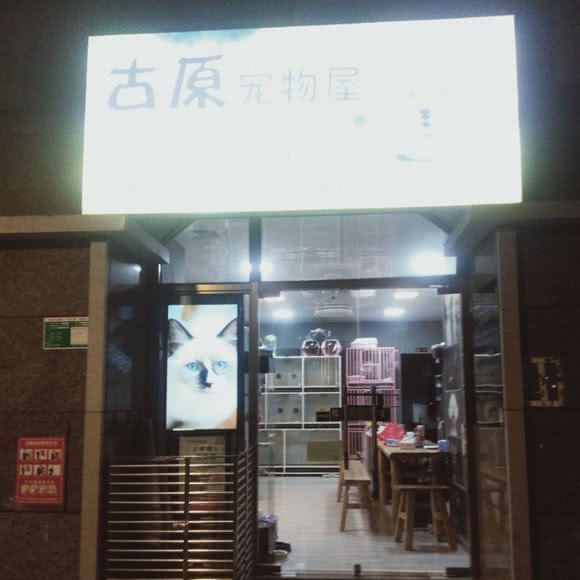 古原宠物屋:清远市清城区上下廓街附近