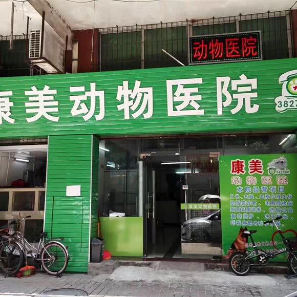 康美动物诊所(凤鸣路店):清远市清城区广泰商业街附近