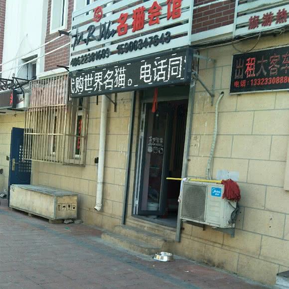 MRWu名猫会馆:天津城区滨海新区汉沽城区附近