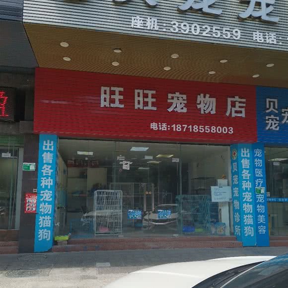 旺旺宠物店:清远市清城区东城附近