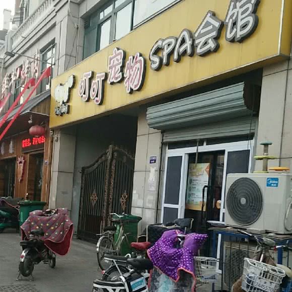 叮叮宠物SPA会馆:天津城区滨海新区汉沽城区附近