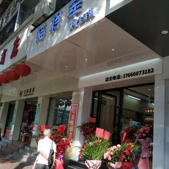 猫将军宠物生活馆:清远市清城区世纪荟/沃尔玛附近