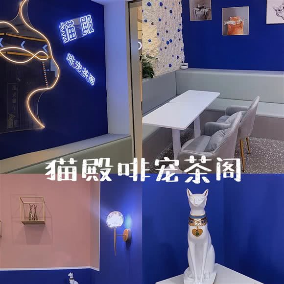 猫殿啡宠茶阁:清远市清城区世纪荟/沃尔玛附近
