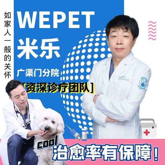 WEPET米乐动物医院(广渠门分院):北京城区朝阳区双井附近