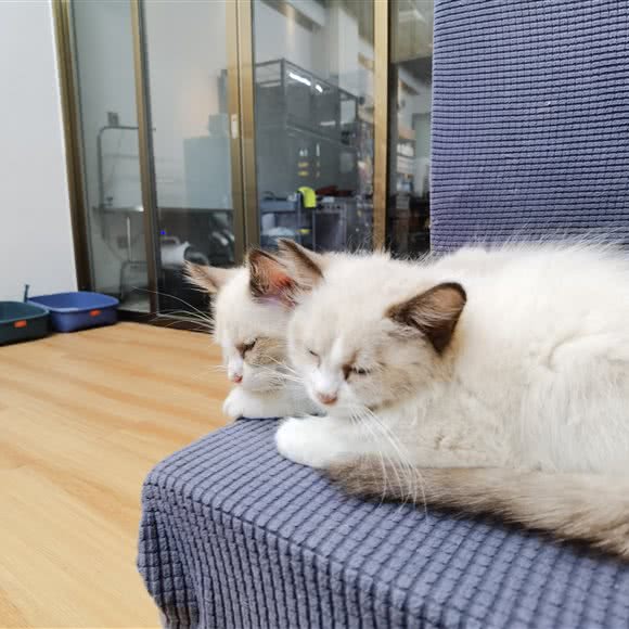 听它说:潮州市湘桥区新桥路/三利街附近