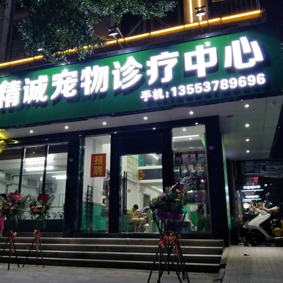 精诚宠物狗诊疗中心:潮州市湘桥区大润发/奎元广场附近